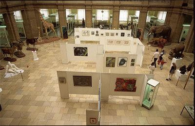 Gesamtbild der Ausstellung