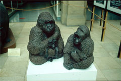 2 Gorillas mit Kind