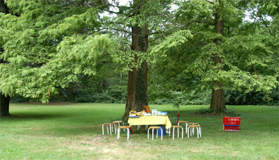 Picknick-Tisch unter Baum