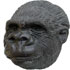 Gorilla Kopf