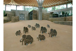 Mammutprofile im Elefantenhaus